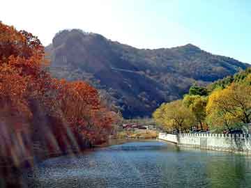 新澳天天开奖资料大全旅游团，盐酸